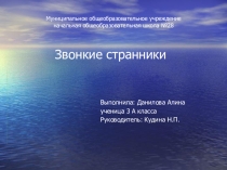 Презентация  Звонкие странники