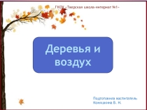 Презентация по экологии на тему: Деревья и воздух.