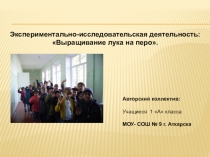 Презентация Лук на перо(1 класс)