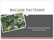 Высшие растения Биология 7