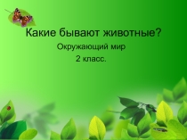 Презентация к уроку окружающего мира по теме Какие бывают животные. 2 класс _Школа России_