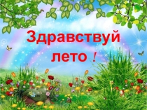 Здраствуй, лето! развитие речи 4 класс 8 вид
