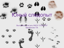 Игра-презентация Юный следопыт