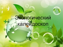 Материалы к уроку: Экологический калейдоскоп