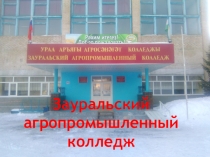 Презентация Профориентационная работа в Зауральском агропромышленном колледже.