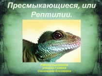 Презентация по биологии на тему Пресмыкающиеся