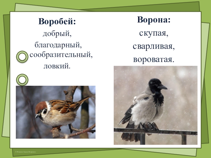 Воробей воробьев ворона. Характристика растрёпанный Воробей. Ворона и Воробей. Характер героя растрепанный Воробей. Ворона Воробей сходства и различия.