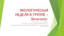 Презентация по экологическому воспитанию в ДОУ на тему  Путешествие насекомых