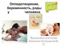 Презентация по биологии человека Оплодотворение, беременность, роды (8 класс)