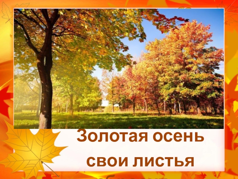 Презентация Презентация Золотая осень свои листья сбросит…