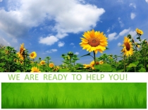 Презентация по английскому языку We are ready to help you