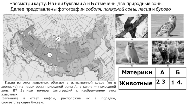 Карта впр зоны окружающий мир ответы россии. Рассмотри карту на ней буквами а и б отмечены две природные зоны ВПР. Карта природных зон по ВПР. Рассмотри карту на ней буквами отмечены природные зоны. ВПР рассмотри карту природных зон.