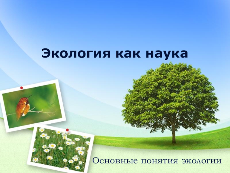 Презентация Презентация по экологии на тему Экология(11 класс)