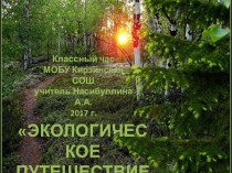 Классный час Году экологии