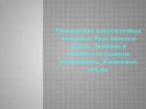 Презентация по биологии на тему  Размножение одноклеточных животных