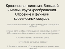 Презентация по биологии на тему Сосудистая система (8 класс)