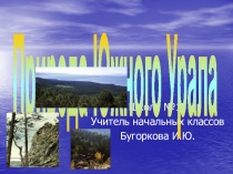 Презентация по окружающему миру