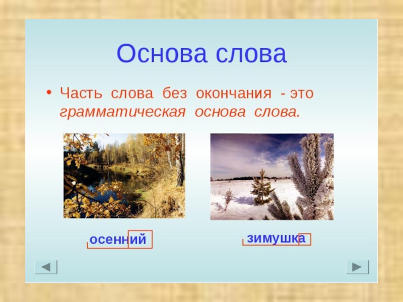 Состав основы слова. Основа слова. Основа слова примеры. Что такое основа слова в русском языке. Слова с основой слова.