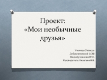Презентация Проект:Мои необычные друзья. Декоративные кролики
