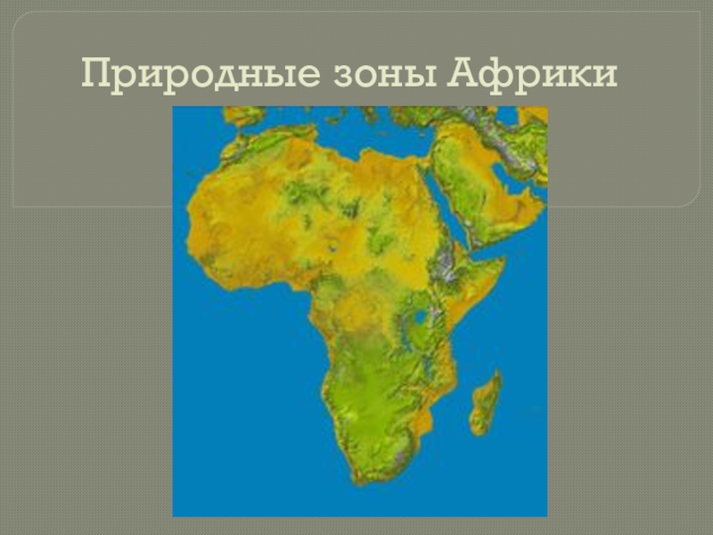 География 7 природные зоны африки. Природные зоны Африки 7 класс. Природные зоны Африки 7 класс география. Кластер природные зоны Африки. Природные зоны Африки 7 класс презентация.