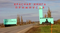 Презентация Красная книга Примиусья