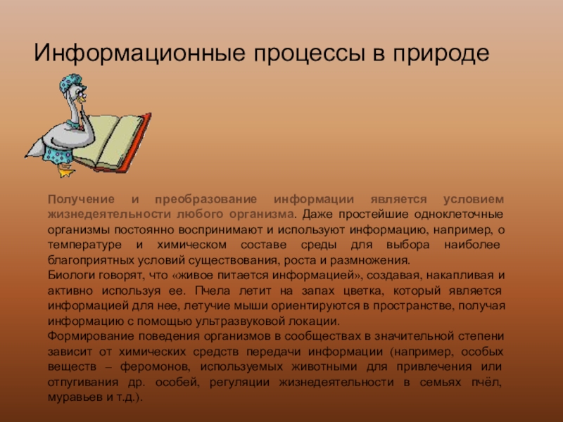 Информационные процессы в природе