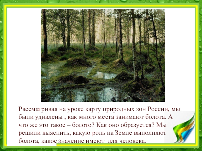 Что дают болота. Значение болота в природе. Природные зоны болота. Болота доклад. Роль болот в природе.