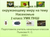 Презентация по окружающему миру на тему Насекомые 2 класс УМК ПНШ