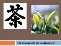 Презентация к внеурочному занятию по русскому языку Филология о чае