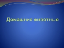 Домашние животные для детей