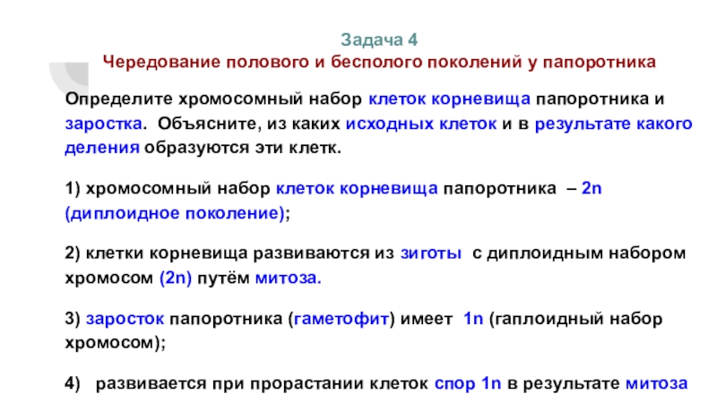 Хромосомный набор заростка папоротника. Хромосомный набор корневища папоротника. Клетка корневища папоротника набор хромосом. Клетки корневища папоротника какой хромосомный набор.