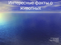 Презентация по окружающему миру на тему Интересные факты о животных (3 класс)