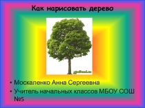 Презентация к уроку изобразительного искусства Дерево