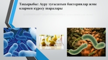 Презентация по биологии на тему Ауру туғызатын бактериялар және олармен күресу шаралары  (6 класс)