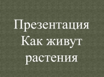Презентация по окружающему миру тема Как живут растения