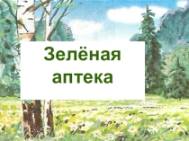 Презентация по ОМ на тему :Зелёная аптека (1 класс)