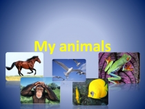 Презентация по английскому языку Мои животные(2 класс)