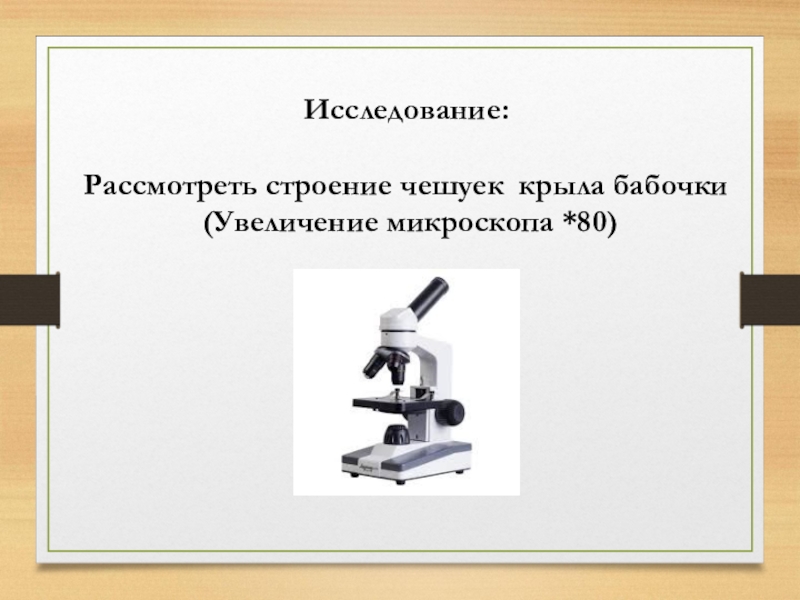 Увеличение микроскопа. Максимальное увеличение микроскопа. Полезное увеличение микроскопа. Синонимы высокое увеличение в микроскопе. Биология 5 класс дополни табличку увеличения микроскопа.