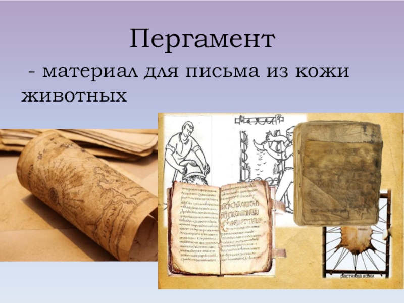 Какую бумагу используют для письма. Пергамент для письма в древности. Пергамент материалы для письма. Материал для письма из кожи животных пергамент. Пергамент бумага в древности.