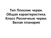 Презентация по биологии на тему Тип Плоские черви (7 класс)