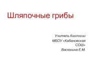 Презентация к уроку по биологии 7 класс Шляпочные грибы