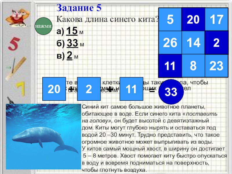 Задания сине. Синий кит задания. Задания с китом. Китообразные задания. Каковы задания синего кита.