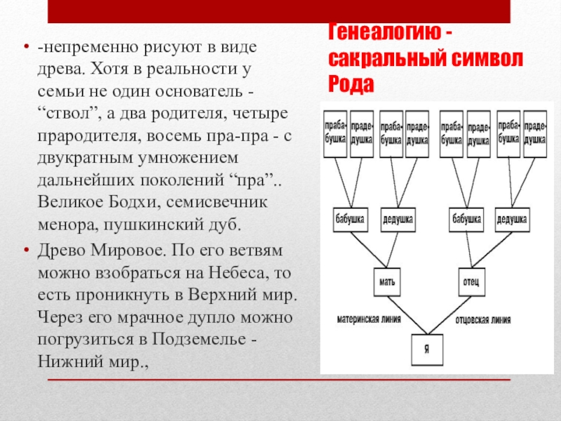 Линией род. Материнская линия рода. Родовое по материнской линии. Материнская родословная. Родословная семьи по материнской линии.