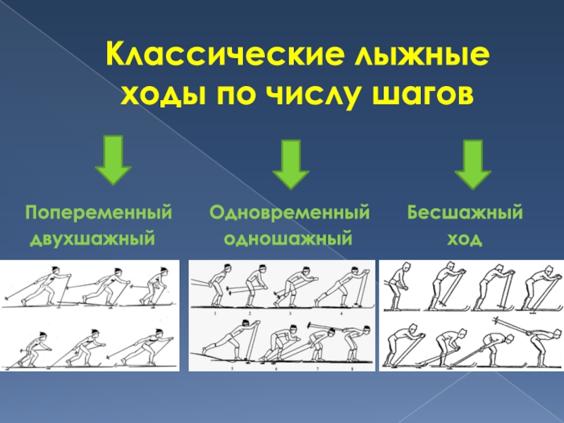 Виды ходов