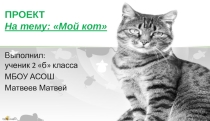 Презентация на тем :Мой кот