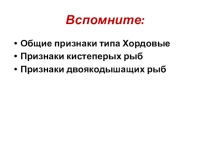 Презентация к уроку биологии в 7 классе Внешнее строение земноводных