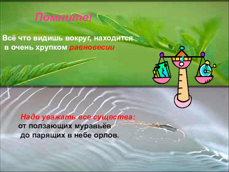 Надо уважать все существа: от ползающих муравьёв до парящих в небе орлов.Помните! Всё что видишь вокруг,