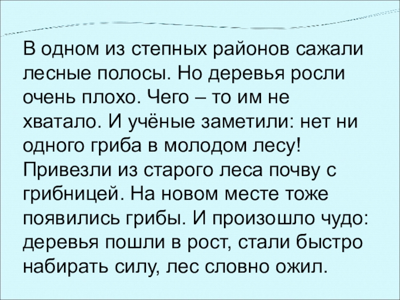 В одном из степных районов сажали лесные полосы. Но деревья росли очень плохо. Чего – то им