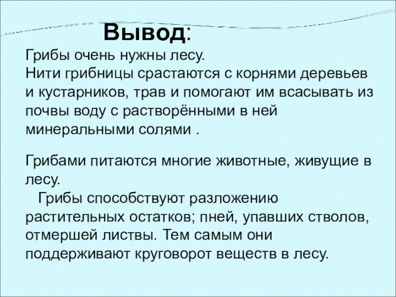 Грибами питаются многие животные, живущие в лесу. Грибы способствуют разложению растительных остатков; пней, упавших стволов,