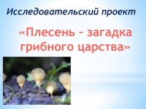Презентация к уроку Плесень – загадка грибного царства